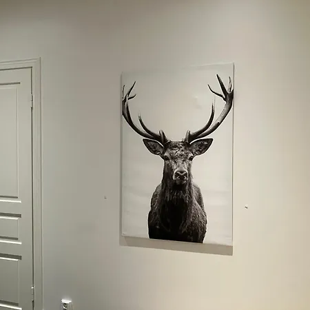 Hostel Bella Turku